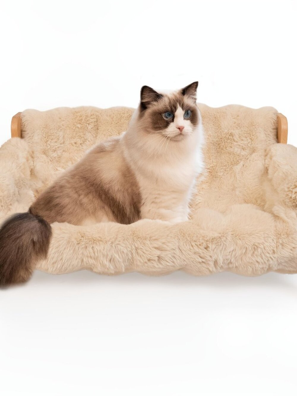 Cat Sofa Bed, Soft Plush Pet Couch with Removable Washable Cover, Non‑Slip Bolst - Picture 10 of 10
